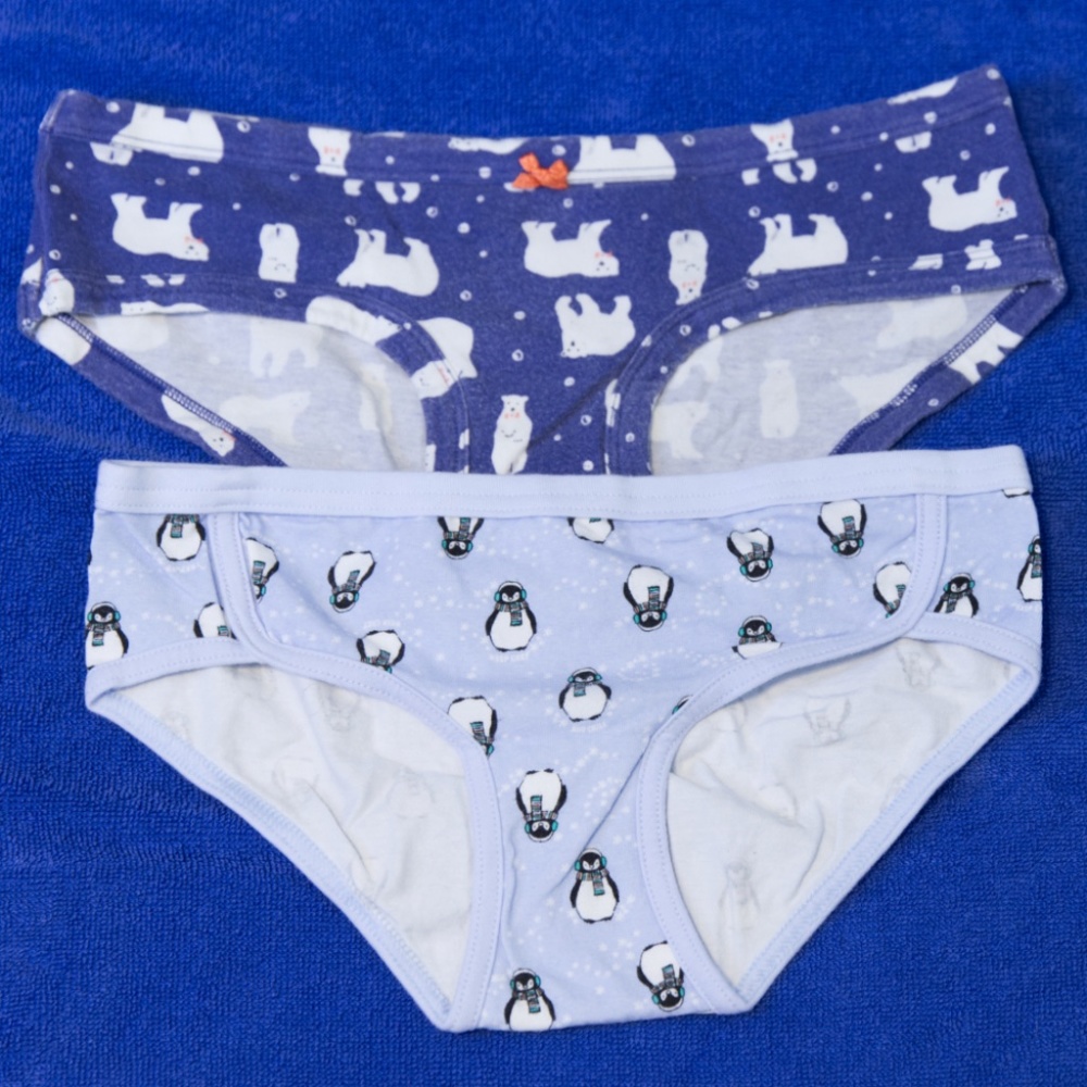 2 Pair Women's Aerie Holiday Briefs  - Medium